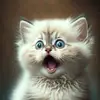 Da vid NM - @davidcrader - TikTok