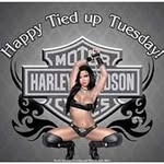 David Cramer - @david.cramer.524381 - Instagram