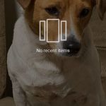 David Cramp - @dacrumpet - Instagram