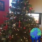 David Cramp - @cramp_david - Instagram