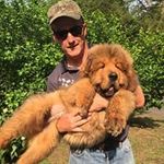 David Crane - @davidcrane3071 - Instagram