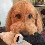 David Crandon - @davidcrandon - Instagram