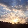 David Credle - @davidcredle131 - TikTok
