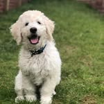 David Crews - @_david.crews_ - Instagram