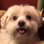 Cooper David Cribbs - @cooper_david_fierman_cribbs - Instagram