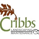 David Cribbs - @cribbs_landscaping - Instagram