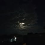 David criddle - @moonphazedangler - Instagram