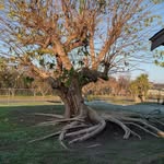 David Croney - @croneydave02023 - Instagram