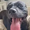 David Crooks - @david.crooks20 - TikTok