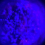 David Crooks - @crooked.code - Instagram