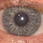 David Crooks - @david.9633 - Instagram
