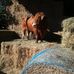 David Crosier - Facebook