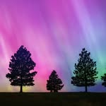 David C - @davidcrowphoto - Instagram