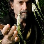 David Crow LAc + Plant Medicine Expert - @crowconsultations - Instagram