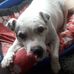 David Crump - Facebook