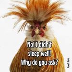 David crutcher - @davidcrutcher65 - Instagram