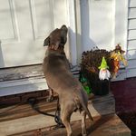 David Csaszar - @davidcsaszar - Instagram