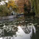 David Cseh - @csehdavid702 - Instagram