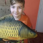 Dávid Cseh - @cseh823 - Instagram