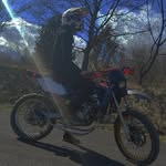 David Csehovics - @davidcsehovics - Instagram