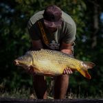 David Csiki - @csikidave - Instagram