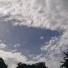Davi cú - @davidcu138 - TikTok