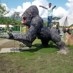 David CU - Facebook