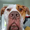 David Cudden - @davidcudden - TikTok