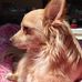 David Cudia - Facebook