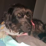 david cudmore - @thelma_and_dave - Instagram