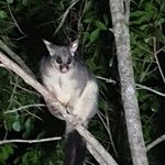 David Cudmore - @david.cudmore.925 - Instagram