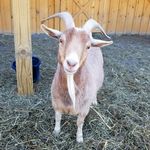 davidcudmore - @davidcudmore_7 - Instagram