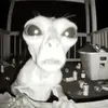 Davidcodney - @davidcodney - TikTok
