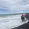 David Cui - @davidcui8 - TikTok