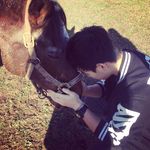 崔岱 - @david_cui________dai - Instagram