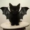 David Cuii - @david.cucui - TikTok