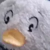 user87305107441014лдкддклкл - @davidcuimacenco - TikTok