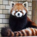 David Culbert - @showtimesince79 - Instagram