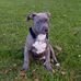 David Culligan - Facebook