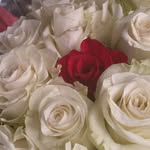 David Cullison - @davidnoah2010 - Instagram