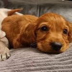 David Cully - @davidcully - Instagram