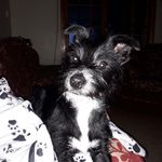 David Cully - @david.cully.374 - Instagram
