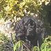 Dave Cunniffe - Facebook
