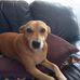 David Cunniffe - Facebook