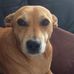 David Cunniffe - Facebook