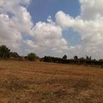 David Cunning - @david_cunningam - Instagram