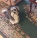 David Cunning - Facebook