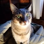 David Cunnington - @daev_c - Instagram