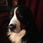 David Cuomo - @cuomo_david - Instagram