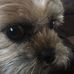 Dave Cupit - Facebook